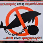 Δυναμική παρέμβαση Ευρωπαίων  ακτιβιστών στο Αττικό Πάρκο κατά της αιχμαλωσίας των δελφινιών (βιντεο)