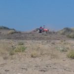 Ηλεία : Τρακτέρ καταστρέφουν αμμόλοφους και σπάνια κρινάκια στις παραλίες με την προκλητική ανοχή των αρμοδίων υπηρεσιών ( φωτο)