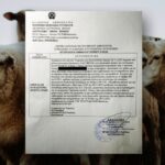 Ηλεία: Έκαναν έφοδο σε γραφείο κτηνιάτρου για… μια ανάρτηση κατά της κυβέρνησης